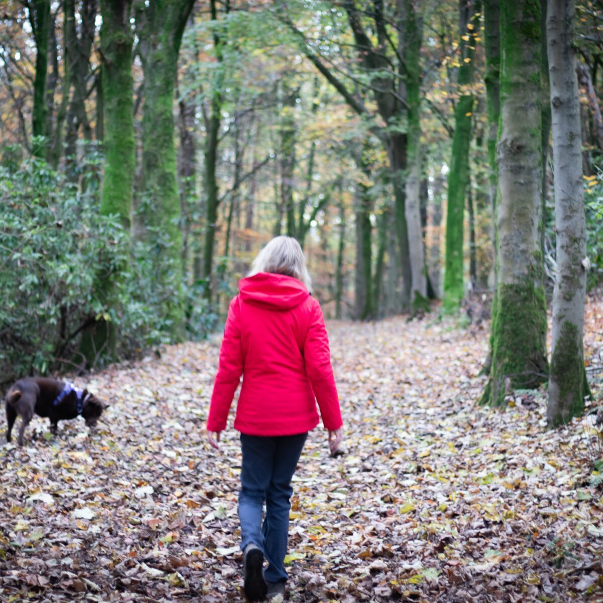 Liz Cooper walking in the forest with her dog