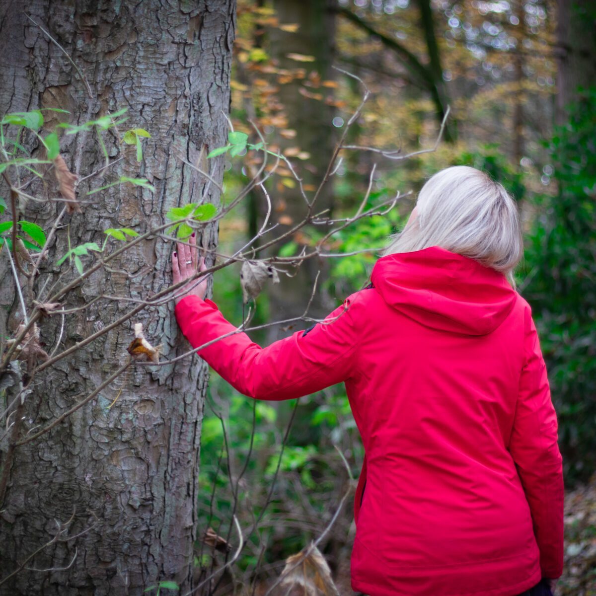 Liz Cooper walking through the forest
