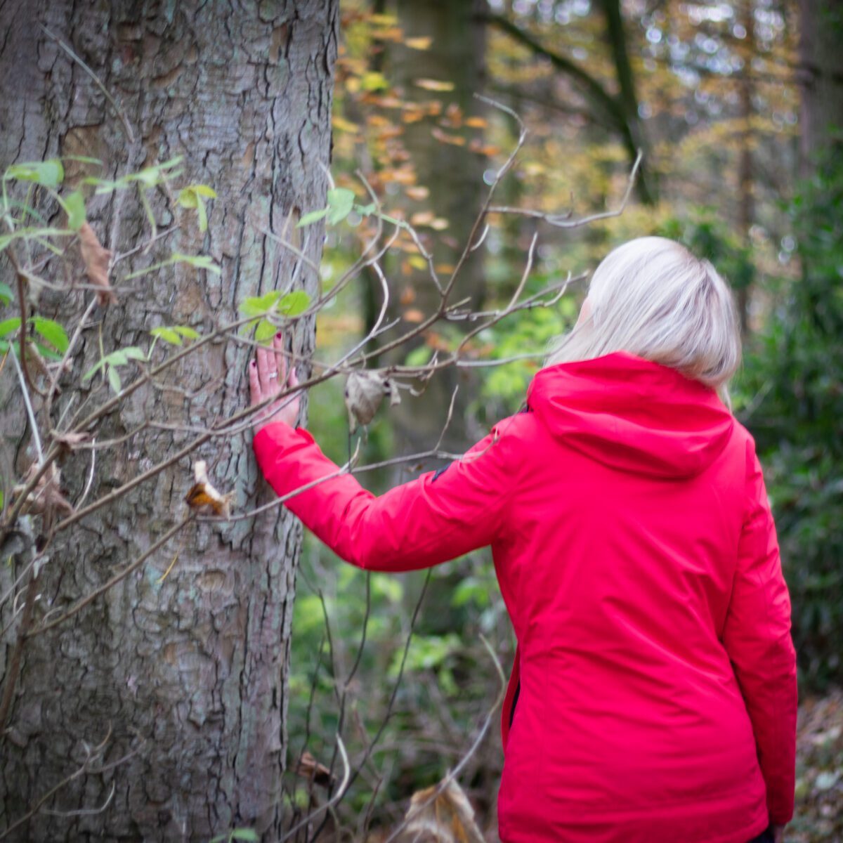 Liz Cooper walking through the forest 2
